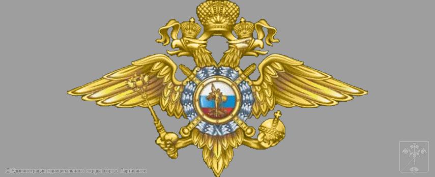 Отдел Министерства внутренних дел РФ по г. Партизанску Отдел Министерства внутренних дел РФ по г. Партизанску