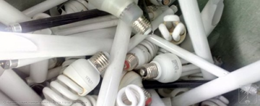 Пункты приема отработанных ртутьсодержащих ламп на территории муниципального округа город Партизанск Приморского края