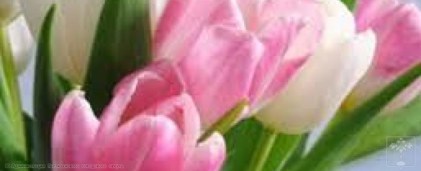 Поздравление главы городского округа О.А. Бондарева с Международным женским Днем 8 Марта Поздравление главы городского округа О.А. Бондарева с Международным женским Днем 8 Марта