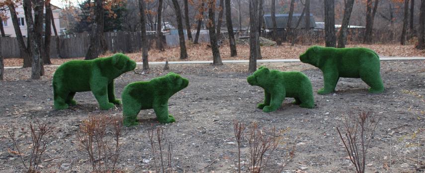 Общественная организация "Территориальное общественное самоуправление "Южный", проект "В гармонии с природой" Общественная организация "Территориальное общественное самоуправление "Южный", проект "В гармонии с природой"
