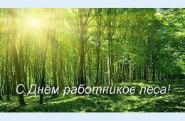 16.09.2022 Поздравление главы городского округа О.А. Бондарева с Днем работников леса | Администрация муниципального округа город Партизанск Приморского края Официальный сайт