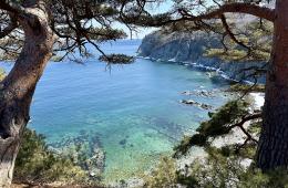 16.04.2025 Конкурс для путешественников «Дальний Восток – земля приключений» стартовал в третий раз | Администрация муниципального округа город Партизанск Приморского края Официальный сайт