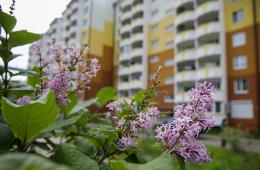 03.04.2025 Сотни общественных пространств в Приморье уже получили «вторую жизнь». ОПРОС  | Администрация муниципального округа город Партизанск Приморского края Официальный сайт
