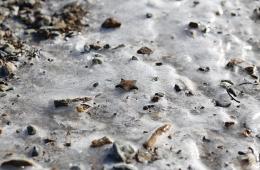 06.12.2021 Первый лед появился на водоемах Приморья. ПАМЯТКА, сообщает www.primorsky.ru  | Администрация муниципального округа город Партизанск Приморского края Официальный сайт