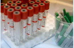 06.10.2021 ПОЧТИ 70 ТЫСЯЧ ЖИТЕЛЕЙ ПРИМОРЬЯ ПЕРЕБОЛЕЛИ COVID-19 | Администрация муниципального округа город Партизанск Приморского края Официальный сайт