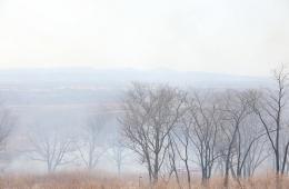 17.10.2025 В Приморье ожидается высокий класс пожарной опасности в лесах | Администрация муниципального округа город Партизанск Приморского края Официальный сайт