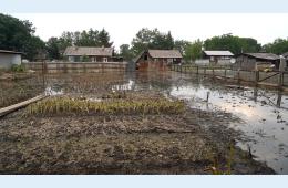 08.08.2024 Размеры выплат пострадавшим при ЧС увеличены в Приморье | Администрация муниципального округа город Партизанск Приморского края Официальный сайт