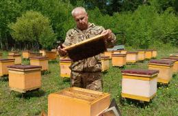 11.11.2024 Приморский таежный мед – лучший в России  | Администрация муниципального округа город Партизанск Приморского края Официальный сайт