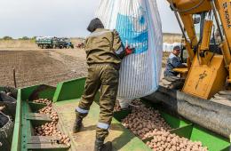 19.05.2022 Производство картофеля, овощей и риса намерены увеличить в Приморье, сообщает www.primorsky.ru | Администрация муниципального округа город Партизанск Приморского края Официальный сайт