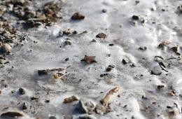 29.11.2024 Спасатели Приморья: Выход на лед категорически запрещен. ПАМЯТКА  | Администрация муниципального округа город Партизанск Приморского края Официальный сайт