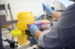 06.06.2025 Роспотребнадзор региона: В Приморье – пик активности клещей | Администрация муниципального округа город Партизанск Приморского края Официальный сайт