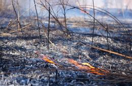 05.03.2025 В Приморье напомнили о штрафах за пожары | Администрация муниципального округа город Партизанск Приморского края Официальный сайт