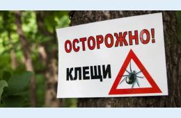 30.03.2021 О профилактике инфекций, передающихся клещами. | Администрация муниципального округа город Партизанск Приморского края Официальный сайт