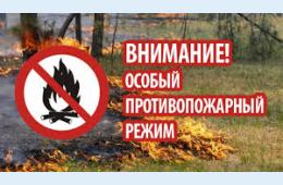 12.04.2021 Особый противопожарный режим ввели в Приморье, сообщает www.primorsky.ru | Администрация муниципального округа город Партизанск Приморского края Официальный сайт