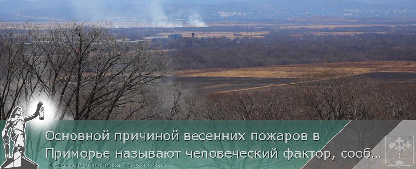 Основной причиной весенних пожаров в Приморье называют человеческий фактор, сообщает www.primorsky.ru | Администрация муниципального округа город Партизанск Приморского края Официальный сайт