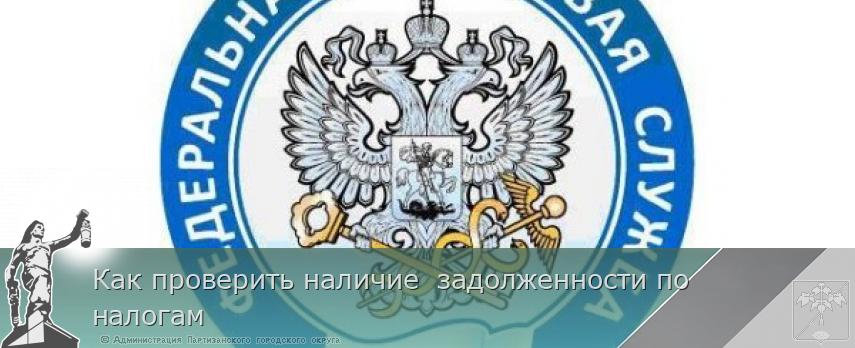 Как проверить наличие  задолженности по налогам | Администрация муниципального округа город Партизанск Приморского края Официальный сайт