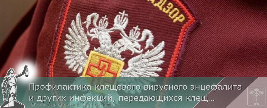 Профилактика клещевого вирусного энцефалита и других инфекций, передающихся клещами | Администрация муниципального округа город Партизанск Приморского края Официальный сайт