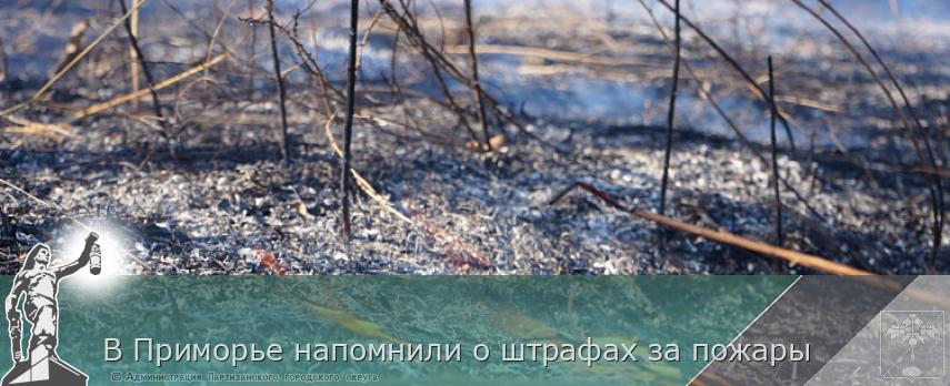 В Приморье напомнили о штрафах за пожары | Администрация муниципального округа город Партизанск Приморского края Официальный сайт