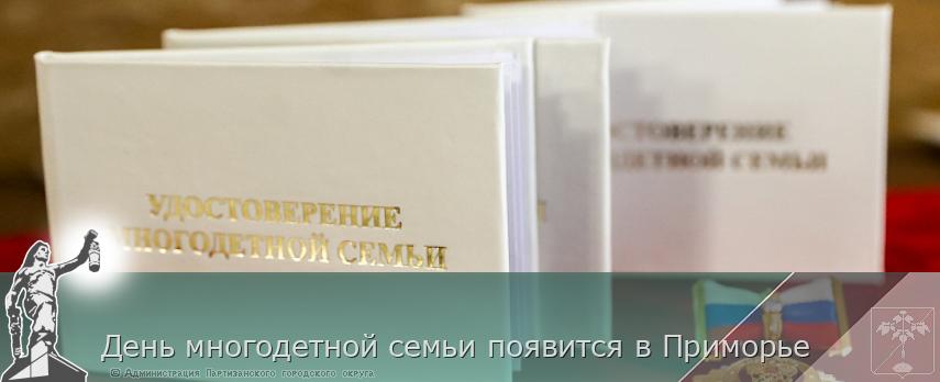 День многодетной семьи появится в Приморье | Администрация муниципального округа город Партизанск Приморского края Официальный сайт
