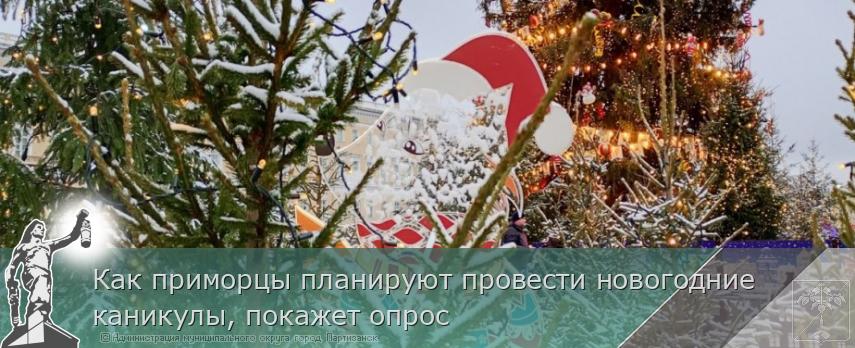 Как приморцы планируют провести новогодние каникулы, покажет опрос | Администрация муниципального округа город Партизанск Приморского края Официальный сайт