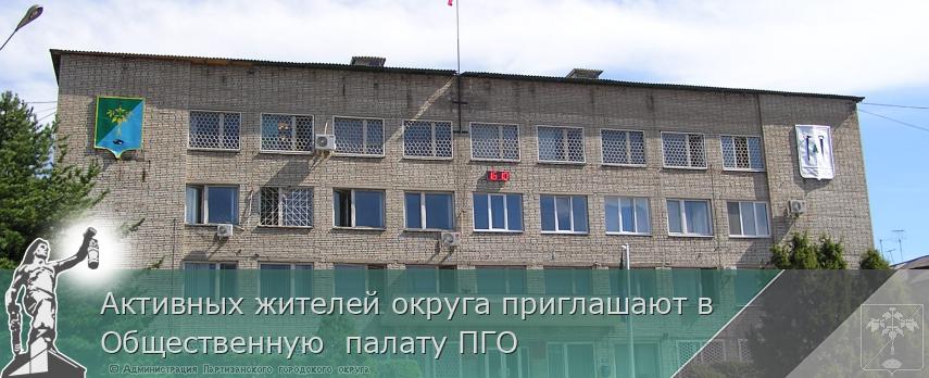 Активных жителей округа приглашают в Общественную  палату ПГО | Администрация муниципального округа город Партизанск Приморского края Официальный сайт