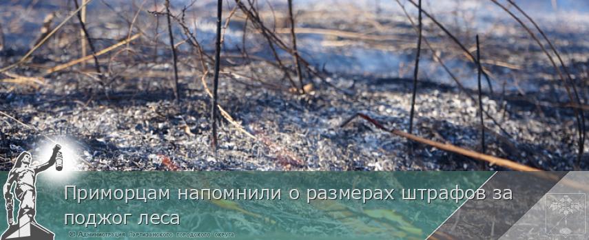 Приморцам напомнили о размерах штрафов за поджог леса | Администрация муниципального округа город Партизанск Приморского края Официальный сайт