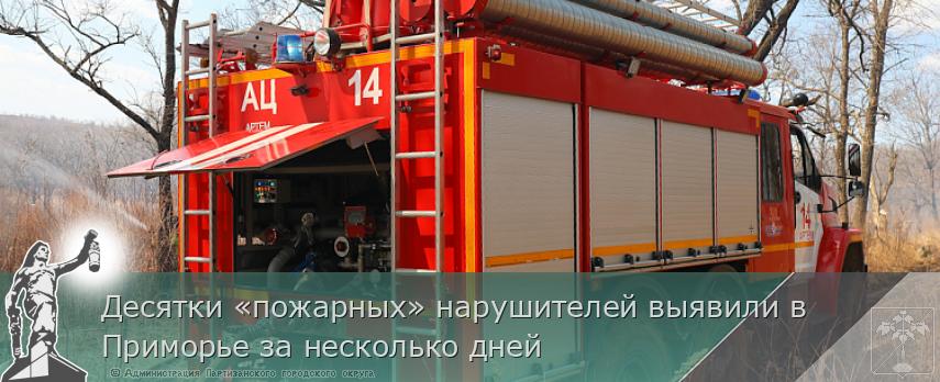 Десятки «пожарных» нарушителей выявили в Приморье за несколько дней | Администрация муниципального округа город Партизанск Приморского края Официальный сайт