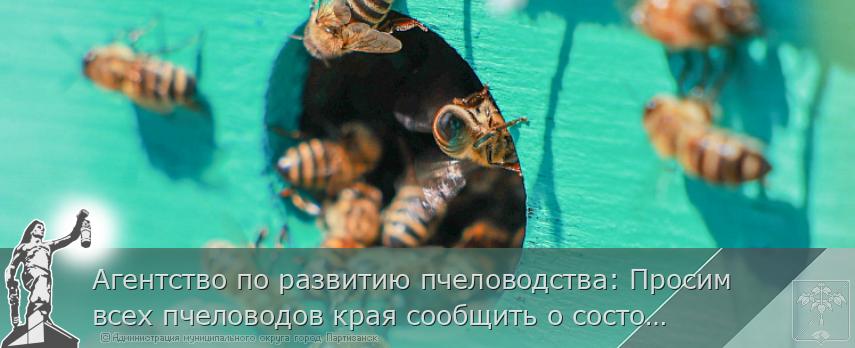 Агентство по развитию пчеловодства: Просим всех пчеловодов края сообщить о состоянии дел на своей пасеке | Администрация муниципального округа город Партизанск Приморского края Официальный сайт