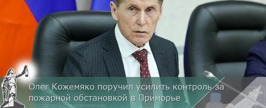 Олег Кожемяко поручил усилить контроль за пожарной обстановкой в Приморье | Администрация муниципального округа город Партизанск Приморского края Официальный сайт