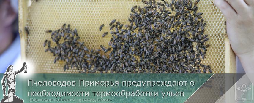 Пчеловодов Приморья предупреждают о необходимости термообработки ульев | Администрация муниципального округа город Партизанск Приморского края Официальный сайт