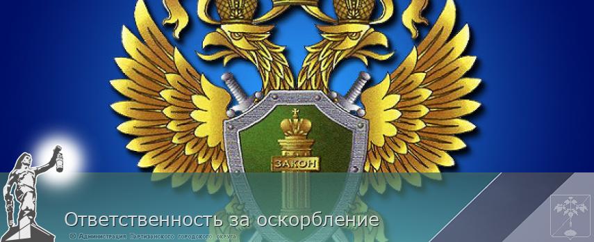 Ответственность за оскорбление | Администрация муниципального округа город Партизанск Приморского края Официальный сайт