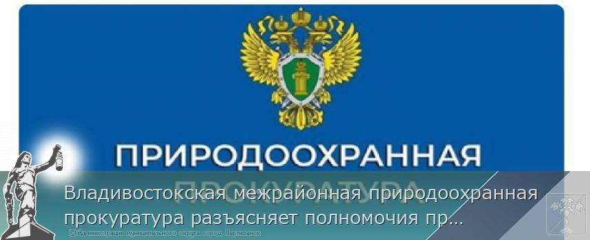 Владивостокская межрайонная природоохранная прокуратура разъясняет полномочия природоохранных прокуроров в сфере противодействия коррупции | Администрация муниципального округа город Партизанск Приморского края Официальный сайт