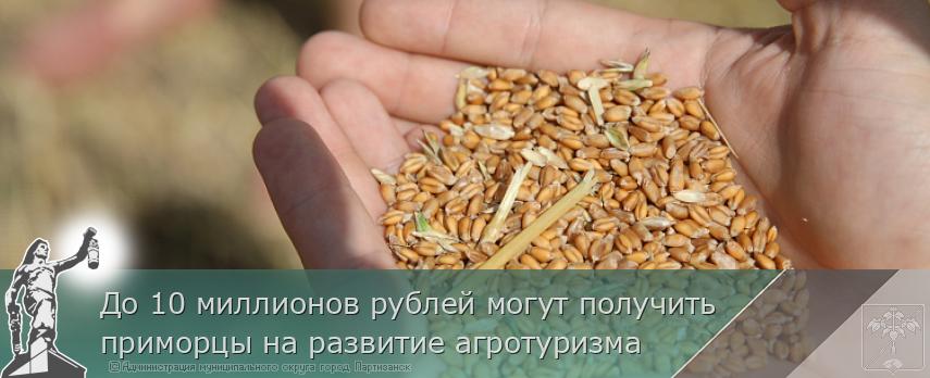 До 10 миллионов рублей могут получить приморцы на развитие агротуризма | Администрация муниципального округа город Партизанск Приморского края Официальный сайт