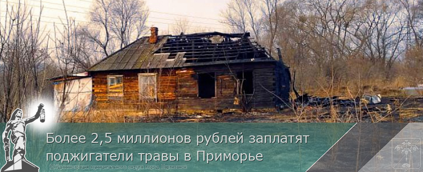 Более 2,5 миллионов рублей заплатят поджигатели травы в Приморье | Администрация муниципального округа город Партизанск Приморского края Официальный сайт