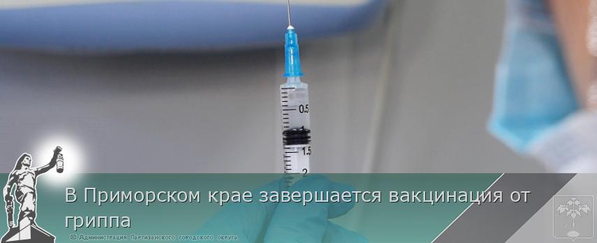 В Приморском крае завершается вакцинация от гриппа | Администрация муниципального округа город Партизанск Приморского края Официальный сайт