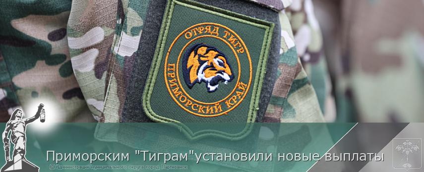 Приморским &quot;Тиграм&quot;установили новые выплаты | Администрация муниципального округа город Партизанск Приморского края Официальный сайт