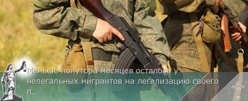 Меньше полутора месяцев осталось у нелегальных мигрантов на легализацию своего пребывания в Приморье | Администрация муниципального округа город Партизанск Приморского края Официальный сайт
